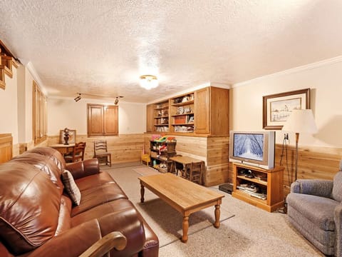 TV, fireplace, video games, DVD player