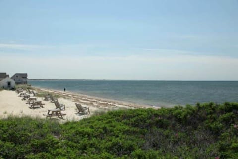 On the beach