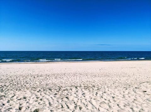 On the beach