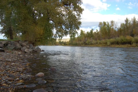 Gold medal fishing steps away
