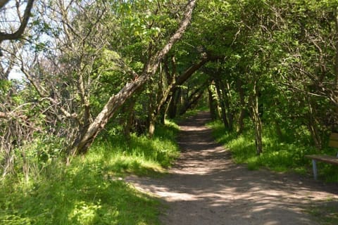 Immediate Surroundings [summer] (<1 km)