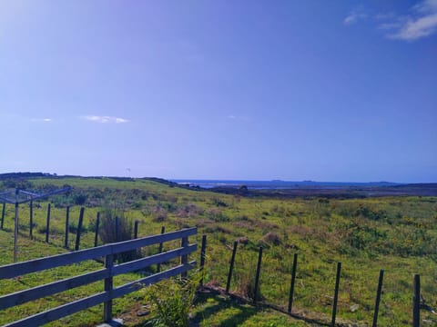 Rear view of rolling hills, ocean, skies, sometimes wild birds or farm animals.