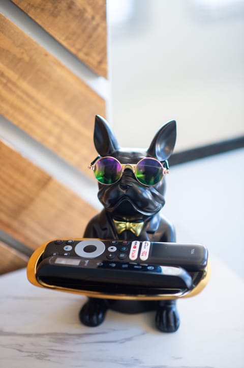 Remotes for TV and Fireplace