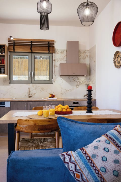 Easy Access to the very well equipped kitchen from the living room