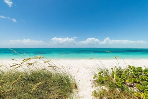 On the beach, sun loungers, beach towels