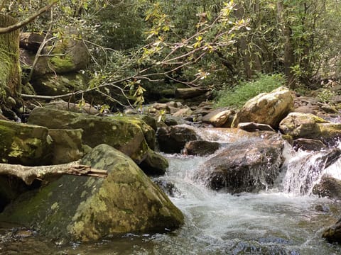 Short drive to Montreat.  Image: creek that runs next to the picnic area.