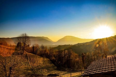 Region [summer] (&gt;5 km)