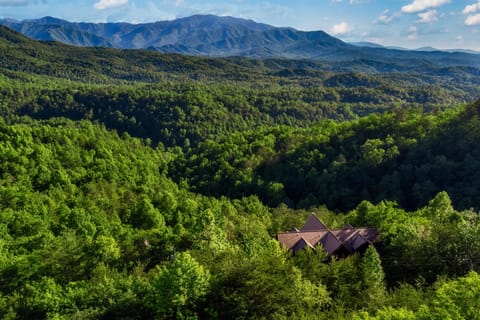 You'll be mesmerized by these vistas from every window in the cabin