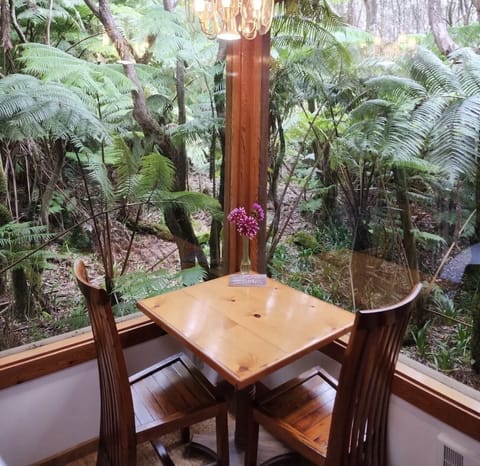 The Hapu’u Room

Panorama view of the rainforest 