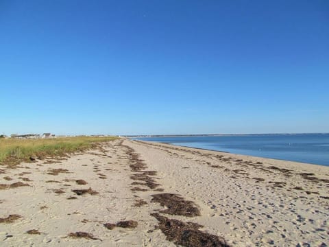 On the beach, sun loungers