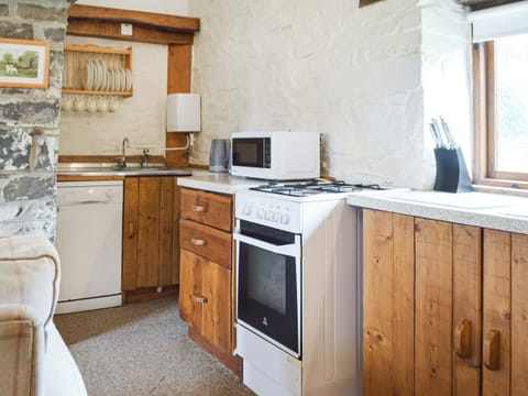 Kitchen area | Ty Tarw - Cwmiar Holiday Cottages, Llanllwni