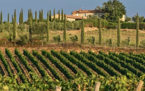 Activities, Amenities, Balcony / Terrace / Patio, Building Exterior, Garden, Main Entrance, Pool, Spring, Summer, Wellness