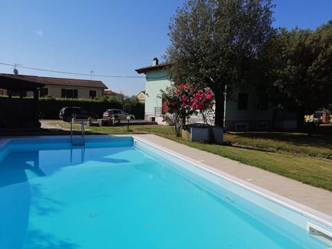 Autumn, Pool, Spring, Summer