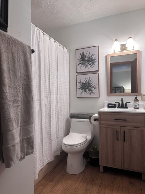 Combined shower/tub, hair dryer, towels, soap