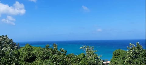 Beach/ocean view