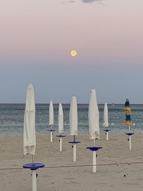 On the beach