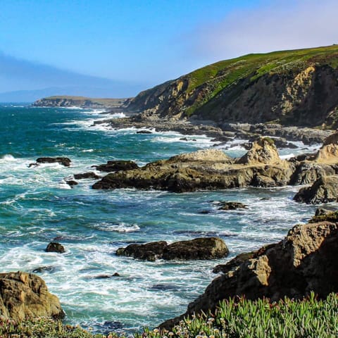 Short drive to Bodega Bay!
