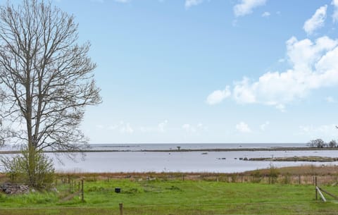 area