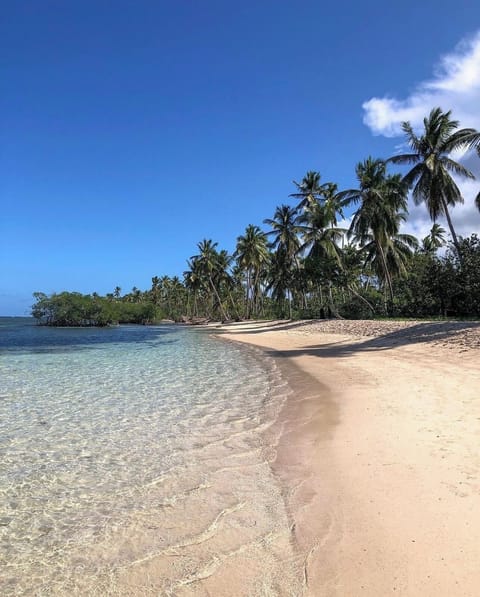 Sun loungers, beach towels