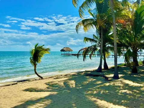 On the beach, sun loungers, beach towels