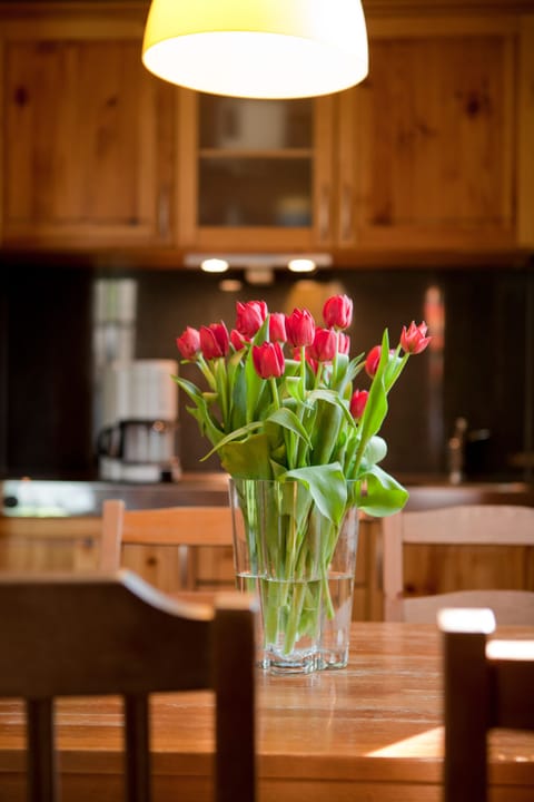 Fridge, stovetop, coffee/tea maker