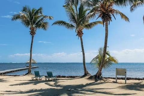 On the beach