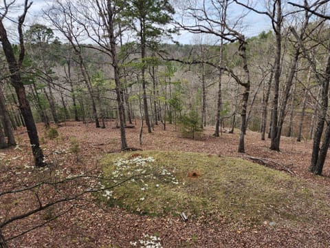 Large, private backyard