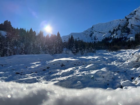 Snow and ski sports