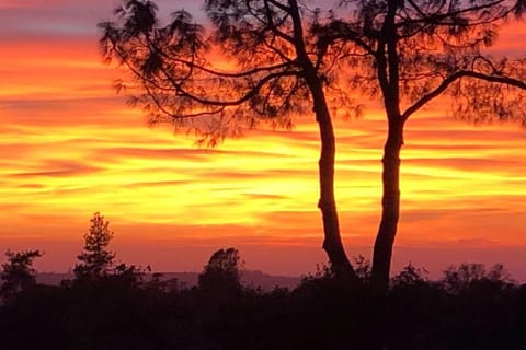 The sunsets off the back deck are absolutely breathtaking