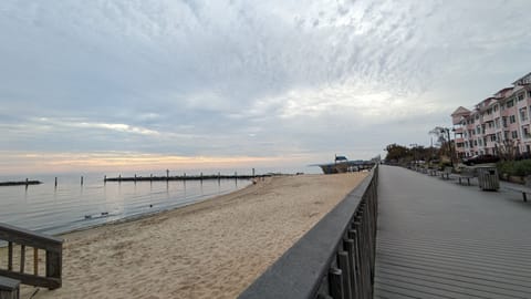 Sun loungers, beach towels