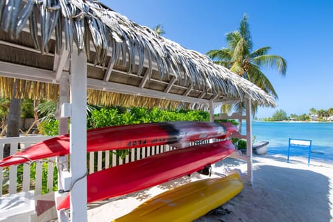 On the beach, sun loungers, beach towels