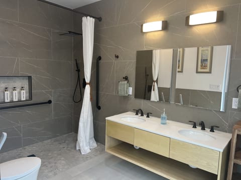 Combined shower/tub, hair dryer, towels, soap