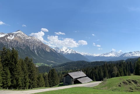 The access road to the Maiensäss