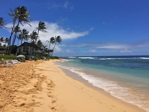 Beach nearby, sun loungers