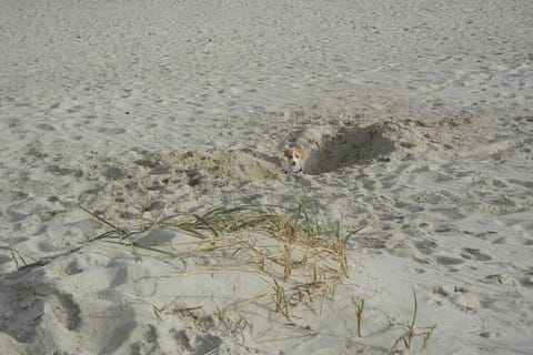 Surroundings [summer] (1-5 km)