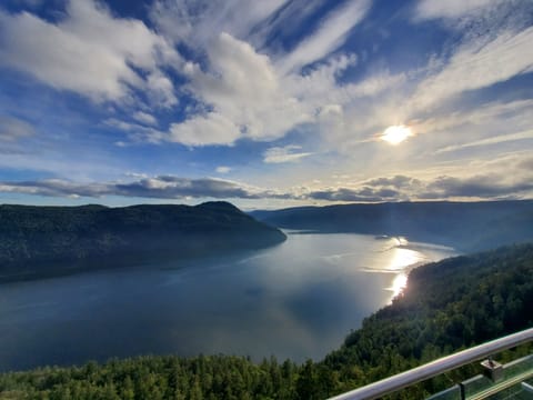 Malahat Skywalk