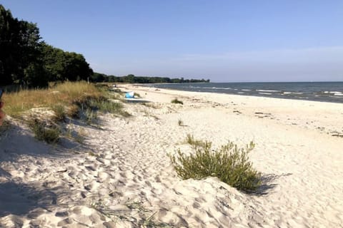 Sun loungers, beach towels