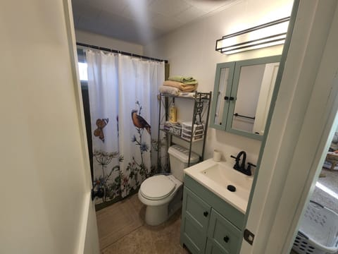 Combined shower/tub, hair dryer, towels, soap