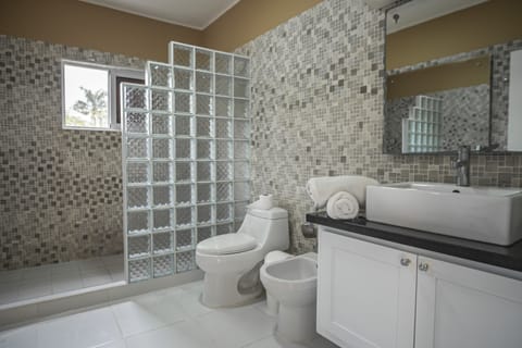 Combined shower/tub, bidet, towels, toilet paper