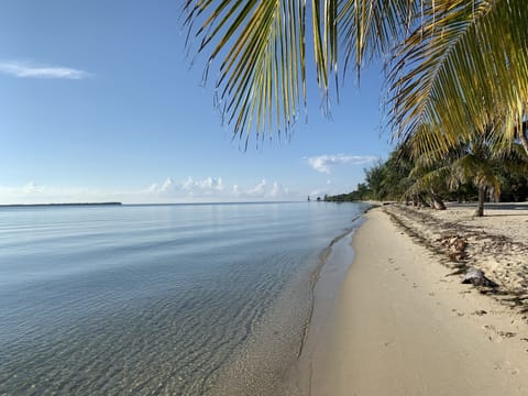 Sun loungers, beach towels