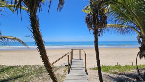 On the beach