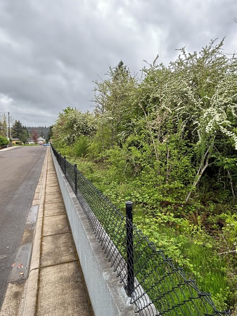 Neighborhood walk...