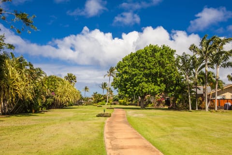 Greenbelt from Shipwreck's to Brennecke's Beaches