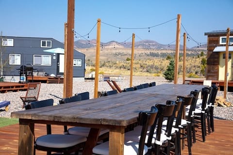 Pinyon20Pines20outdoors