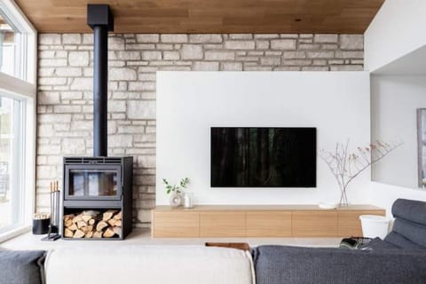 Smart TV, fireplace, books