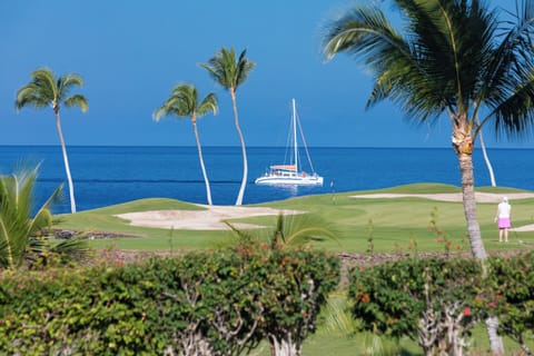 Guests Staying at Aqua Marine Dream can receive Big Golf discounts when playing at either of the Mauna Lani Auberges world renowned North and South courses.