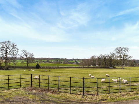 Outdoor area | Southview Barn, Barnard Castle