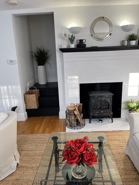 TV, fireplace, books