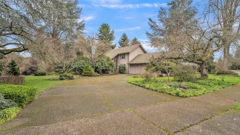 Outdoors, Grass, Tree, House, Fir