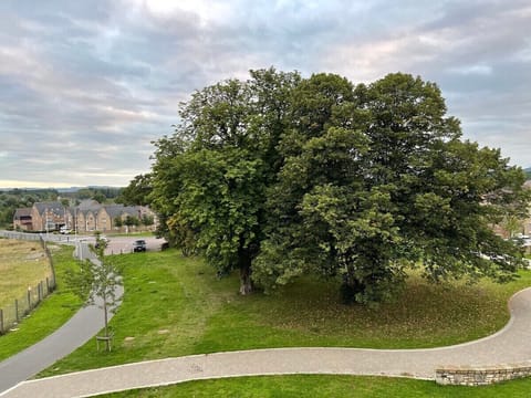 View from Living Room